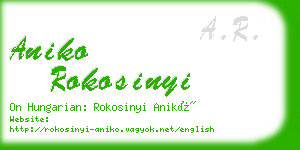 aniko rokosinyi business card